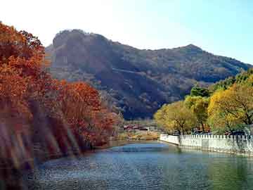 澳门今晚一肖必中特，芫芬乡村农庄